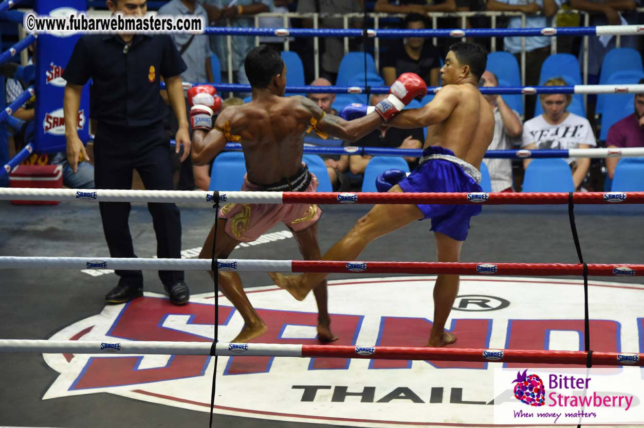 Muay Thai Boxing