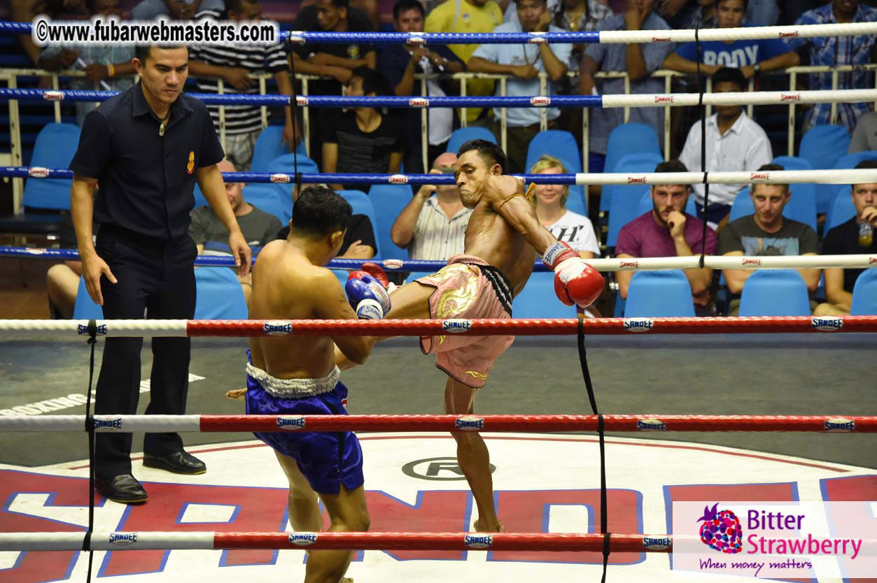 Muay Thai Boxing