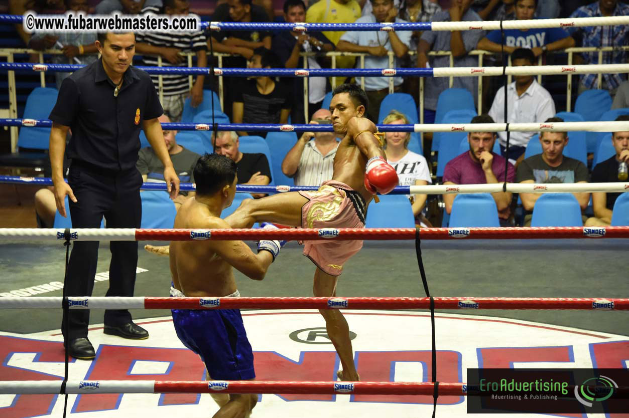 Muay Thai Boxing