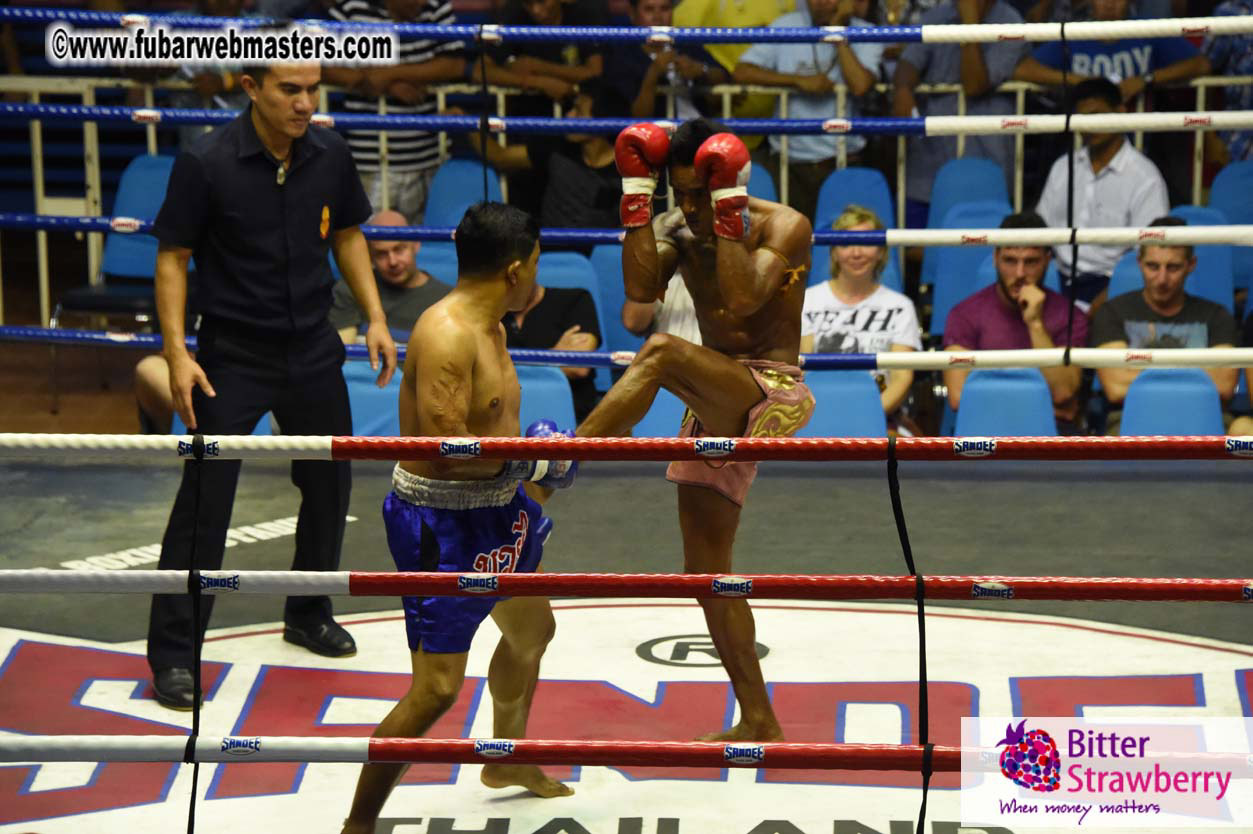 Muay Thai Boxing