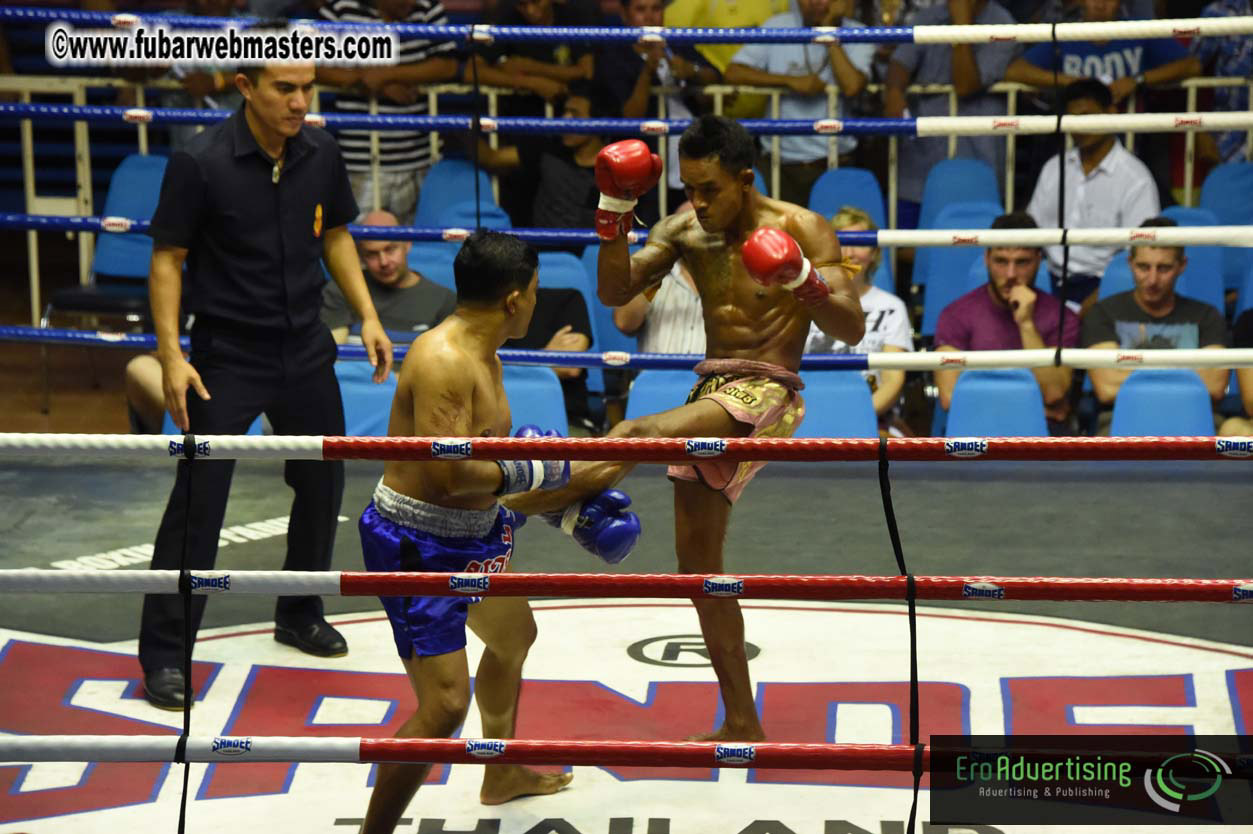 Muay Thai Boxing