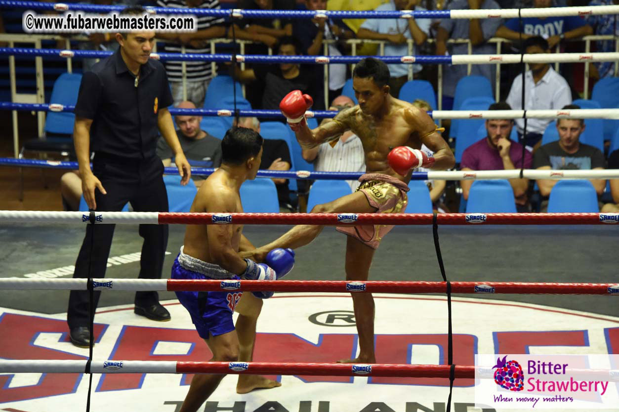 Muay Thai Boxing