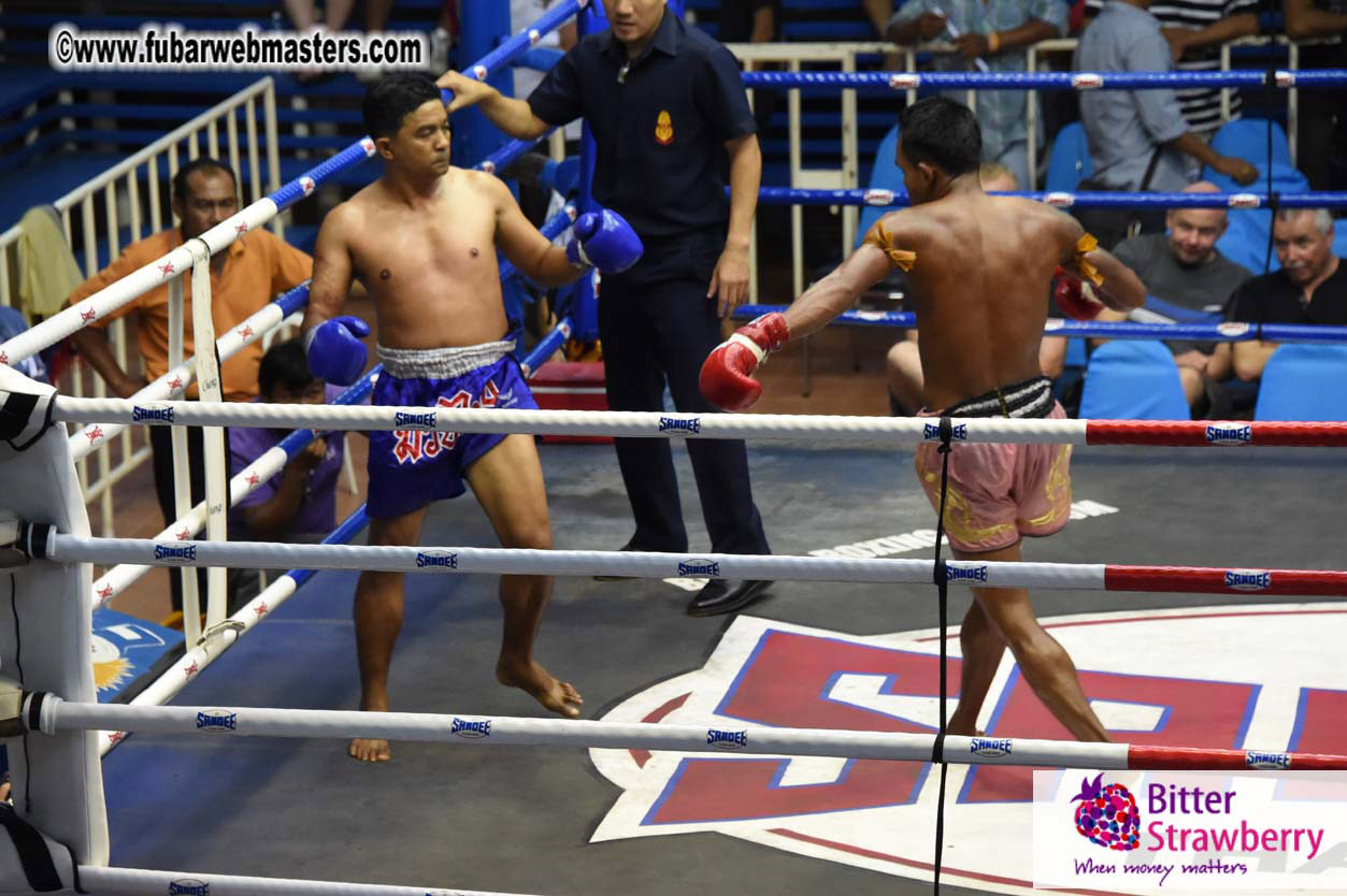 Muay Thai Boxing