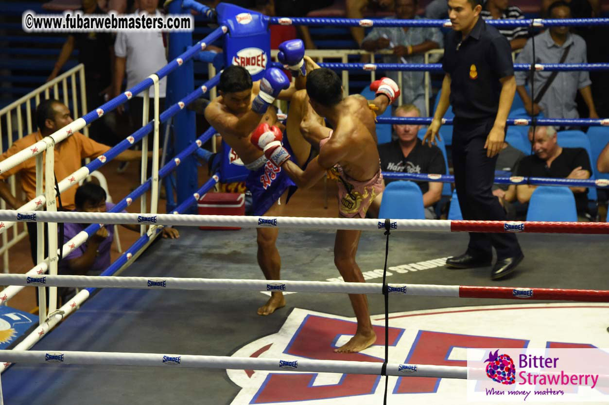 Muay Thai Boxing