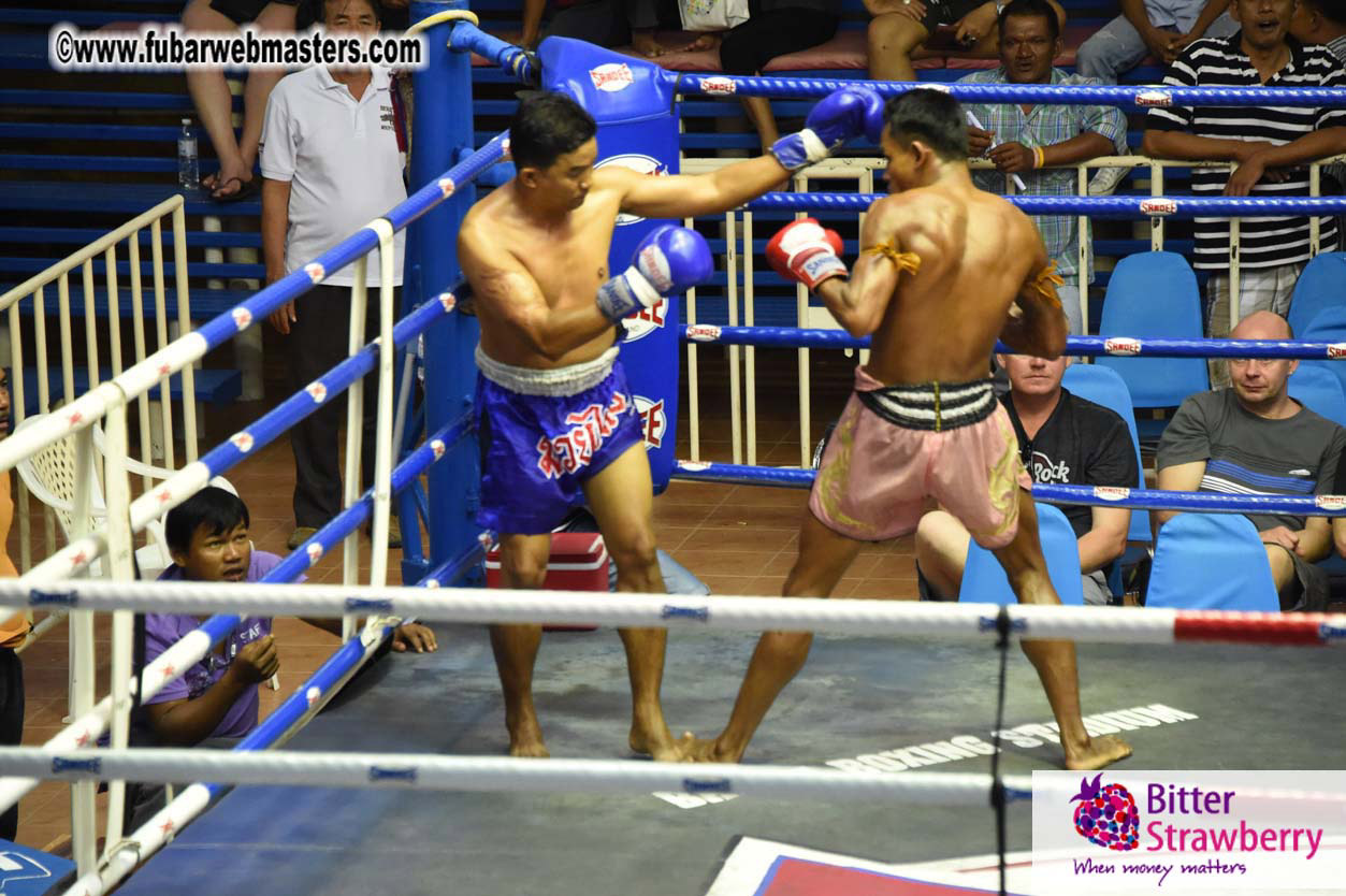 Muay Thai Boxing