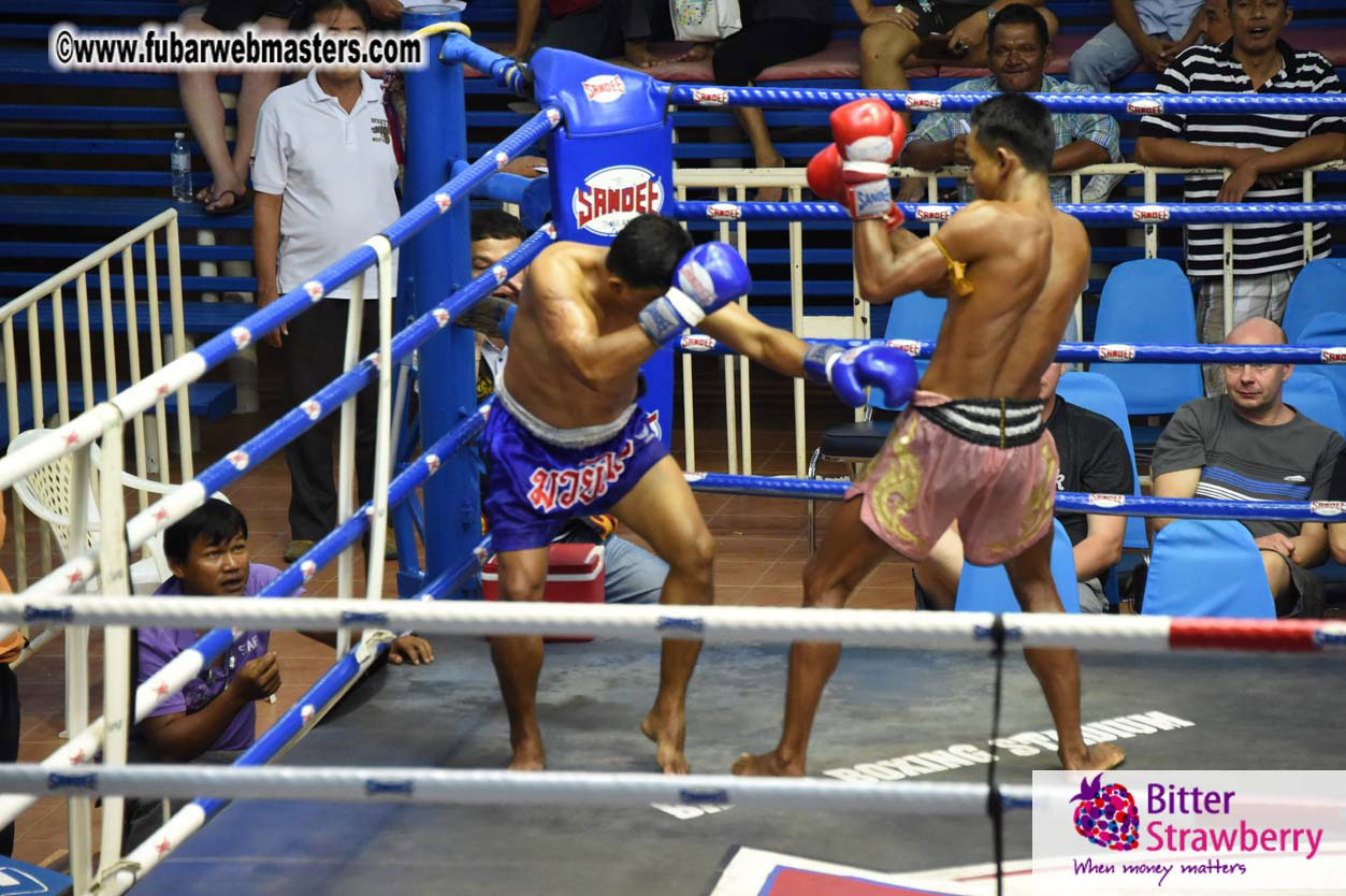 Muay Thai Boxing