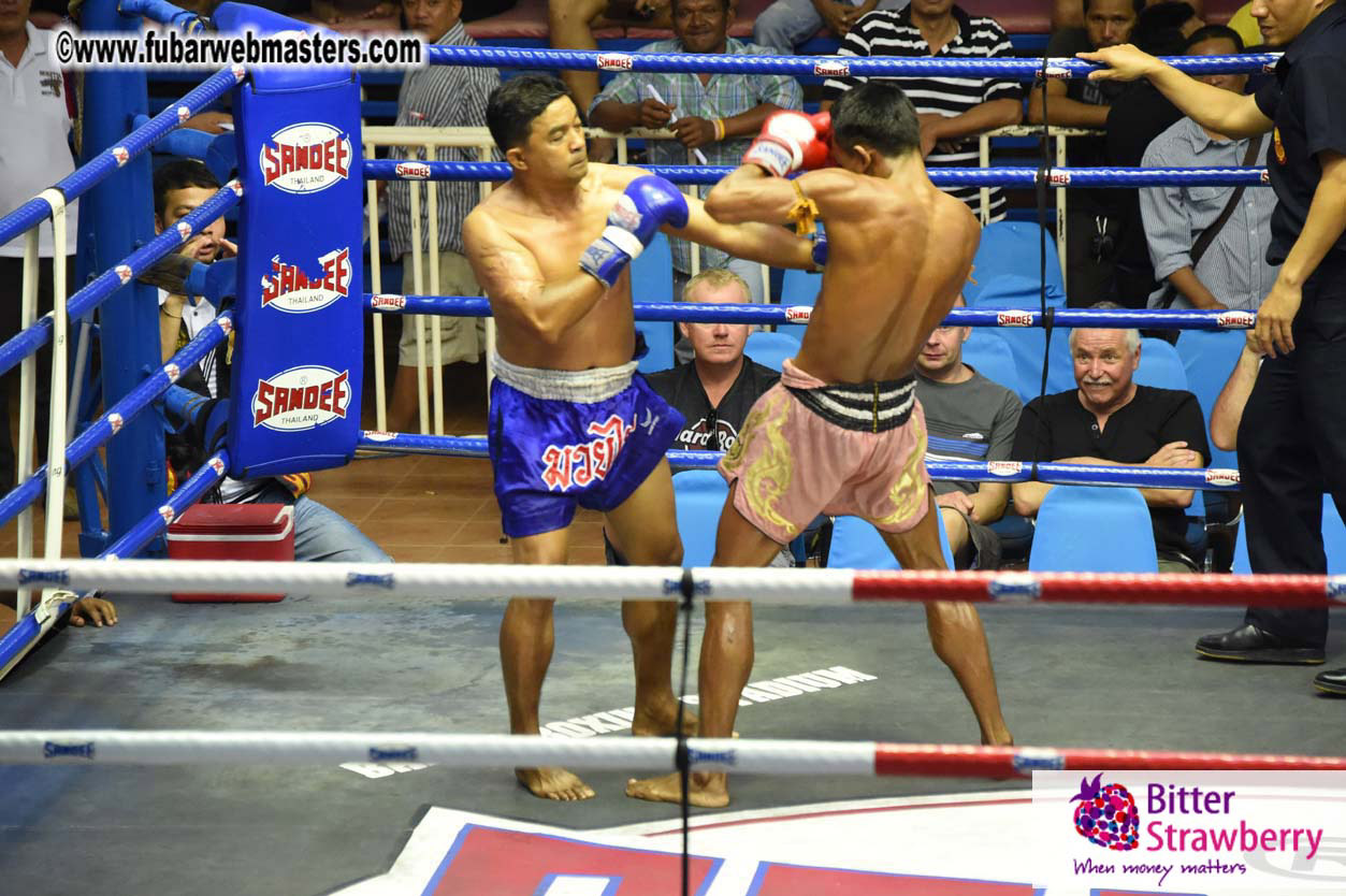 Muay Thai Boxing