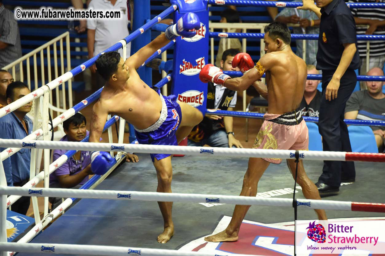 Muay Thai Boxing