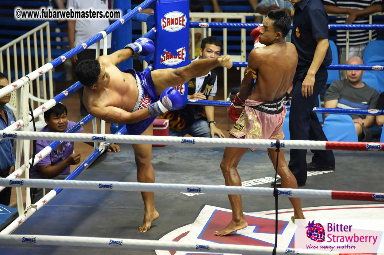 Muay Thai Boxing