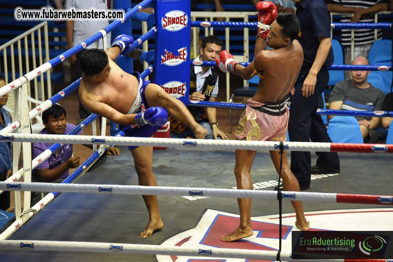 Muay Thai Boxing