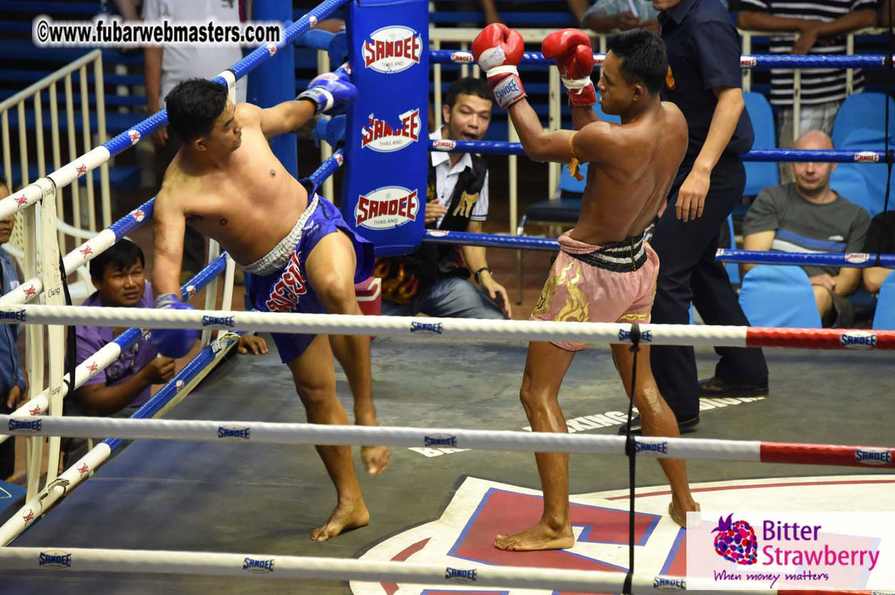 Muay Thai Boxing