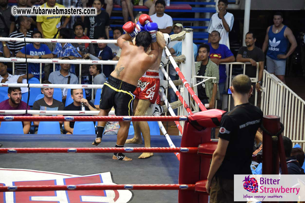 Muay Thai Boxing