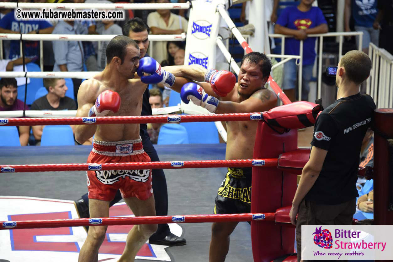 Muay Thai Boxing