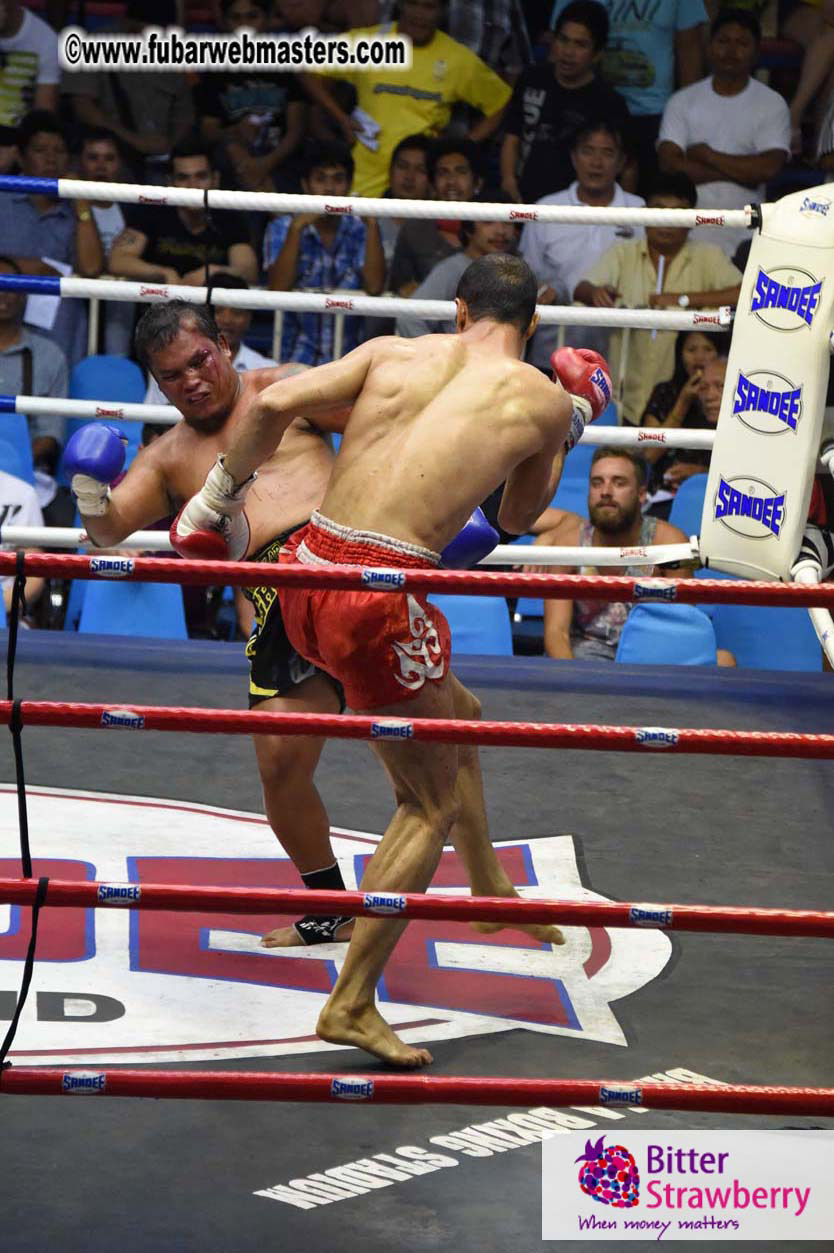 Muay Thai Boxing