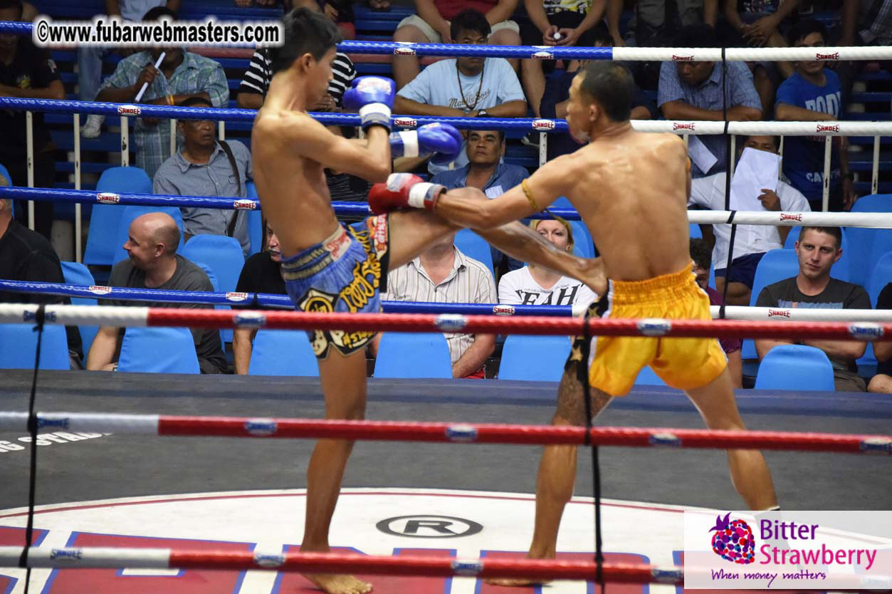 Muay Thai Boxing