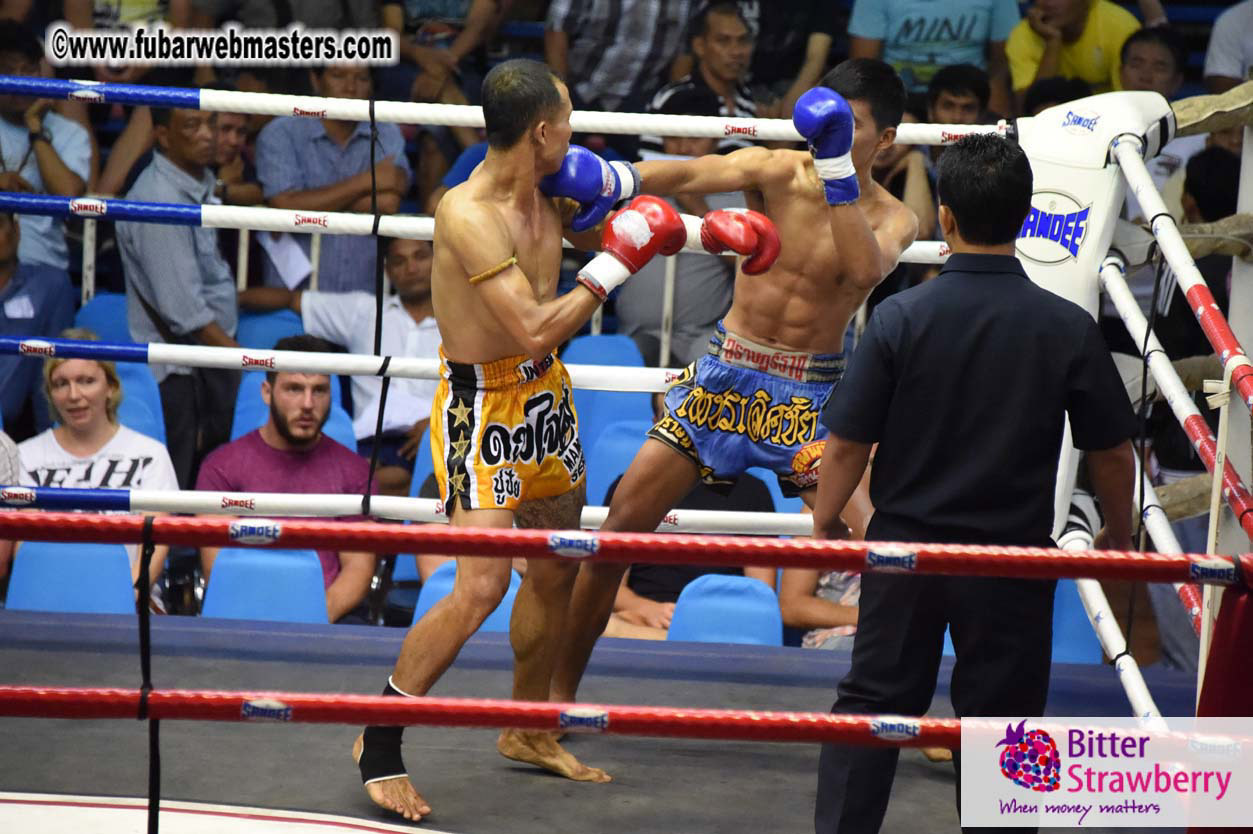 Muay Thai Boxing