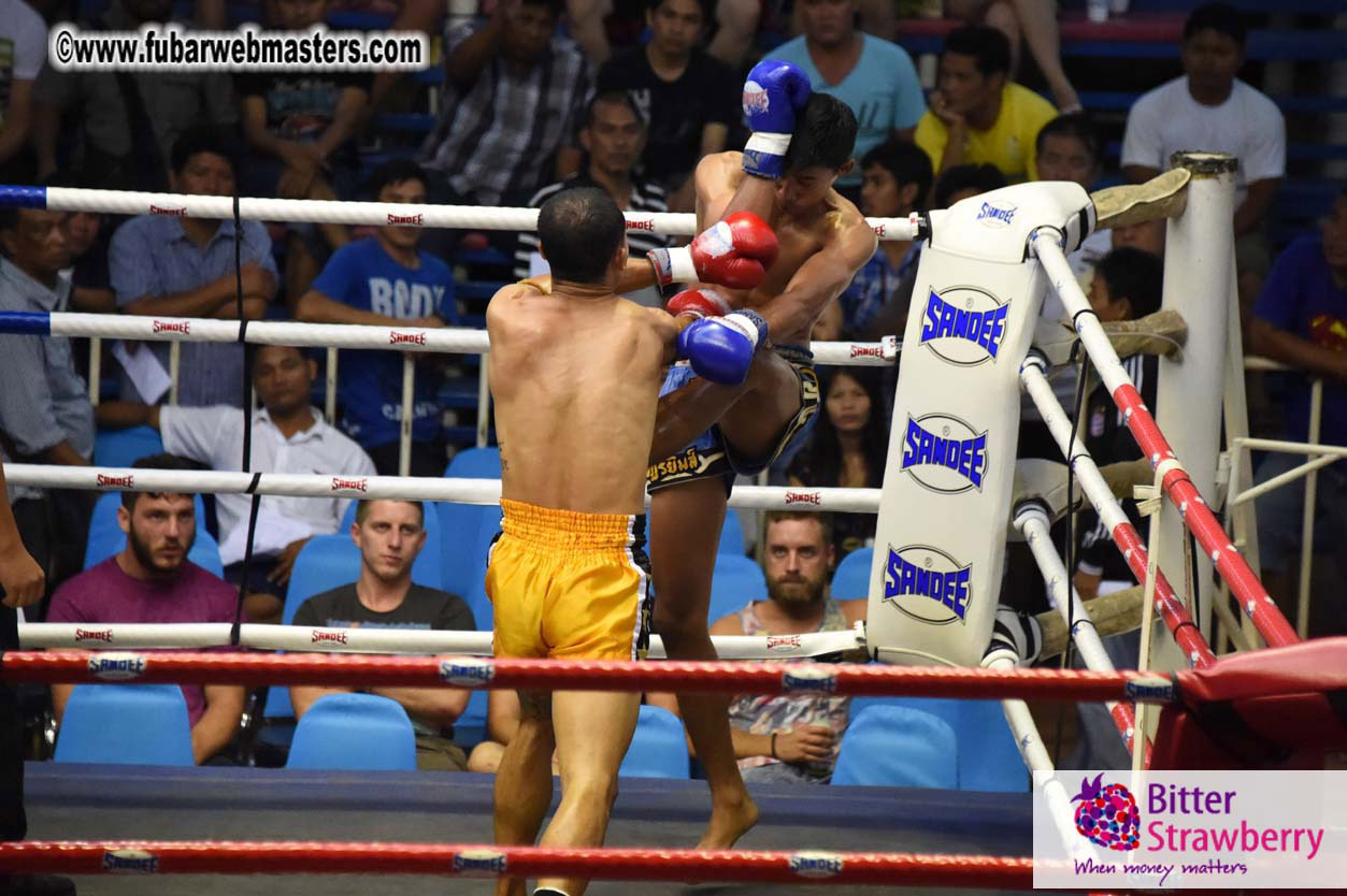 Muay Thai Boxing