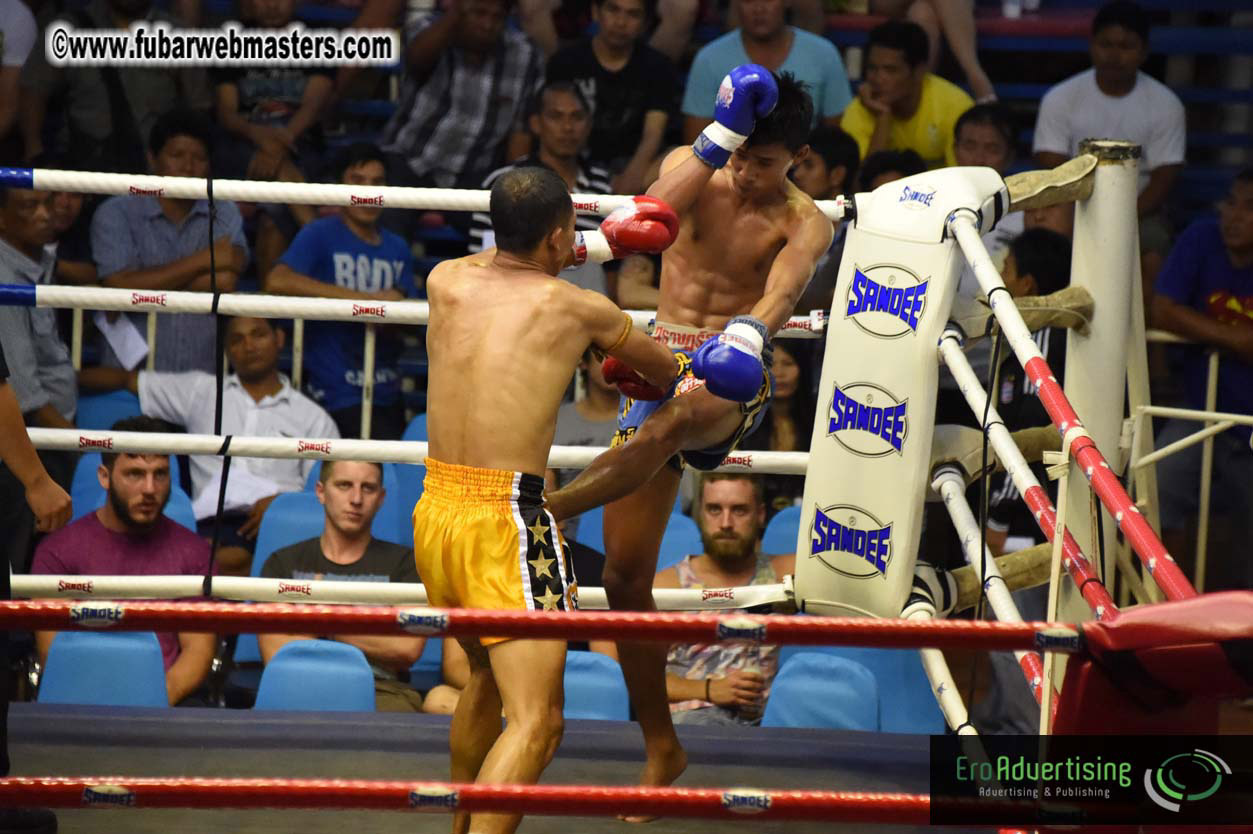 Muay Thai Boxing