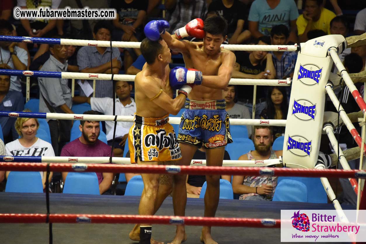 Muay Thai Boxing