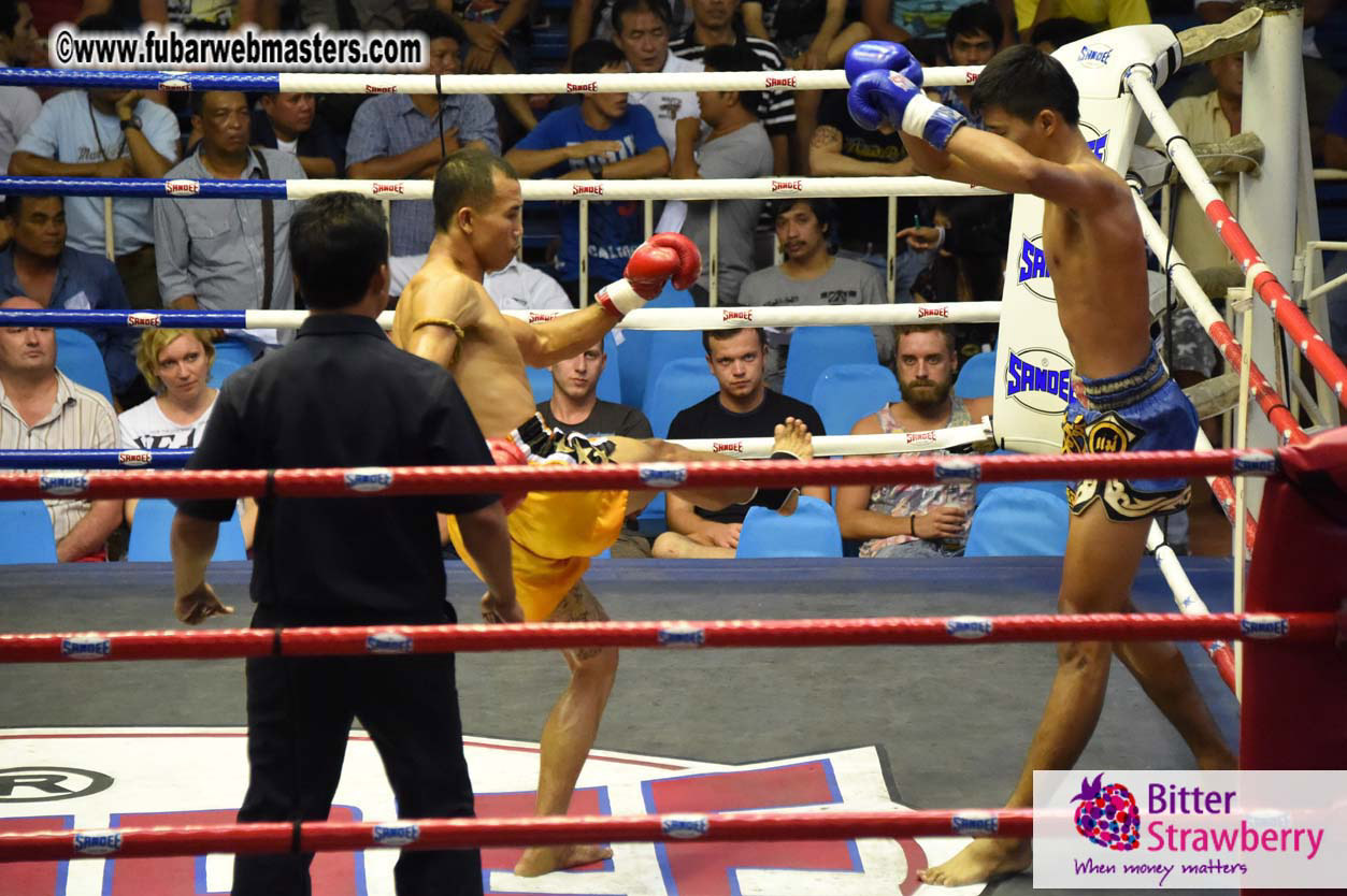 Muay Thai Boxing