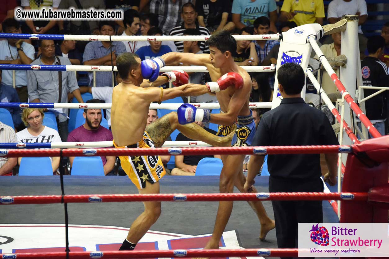 Muay Thai Boxing