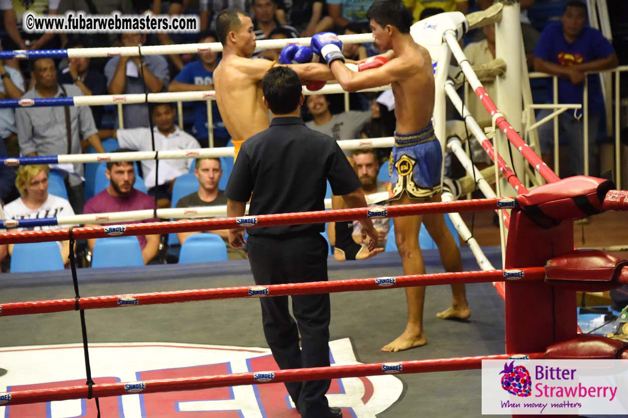 Muay Thai Boxing