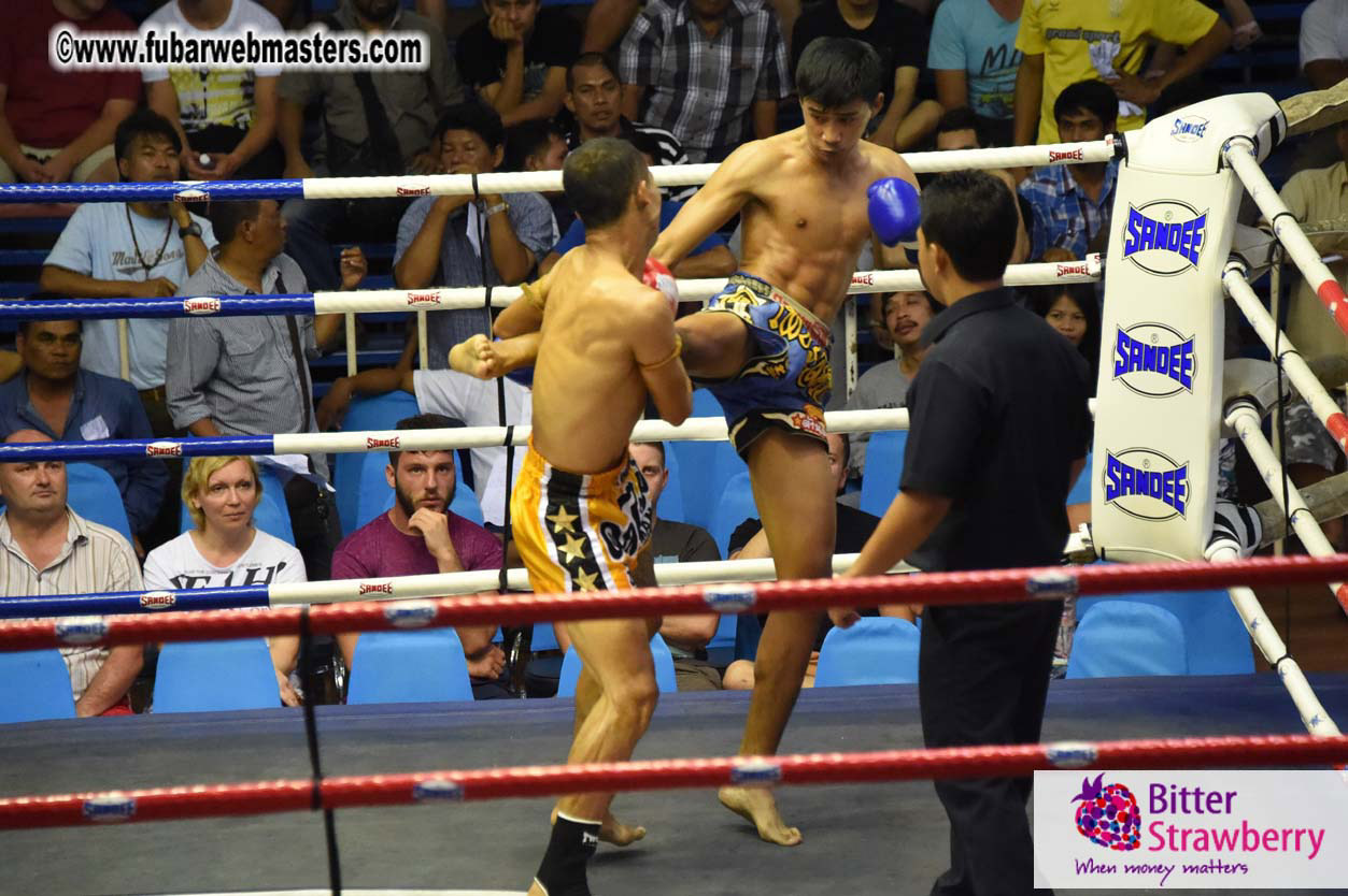 Muay Thai Boxing