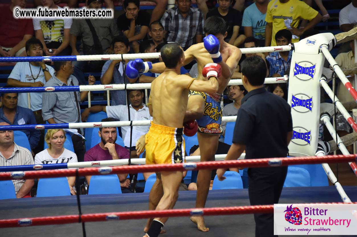 Muay Thai Boxing