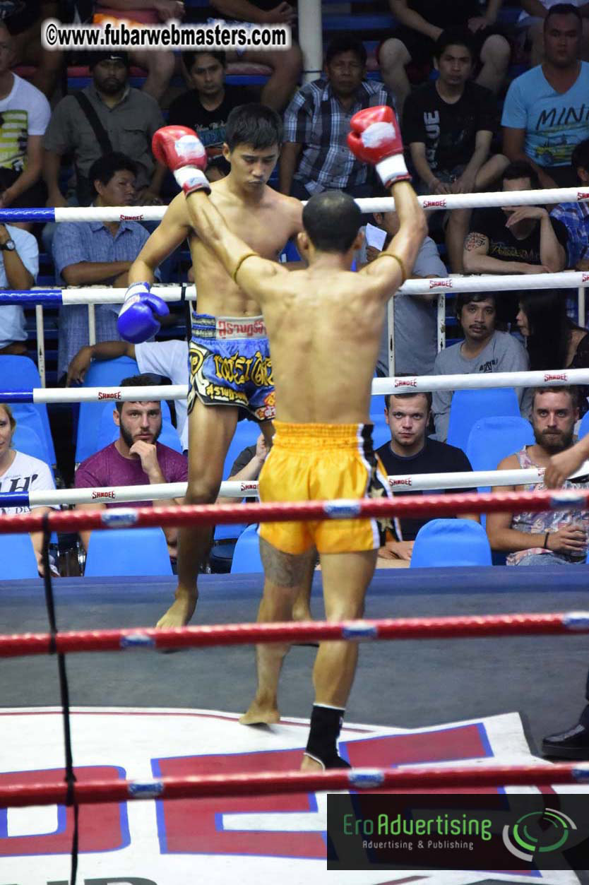 Muay Thai Boxing