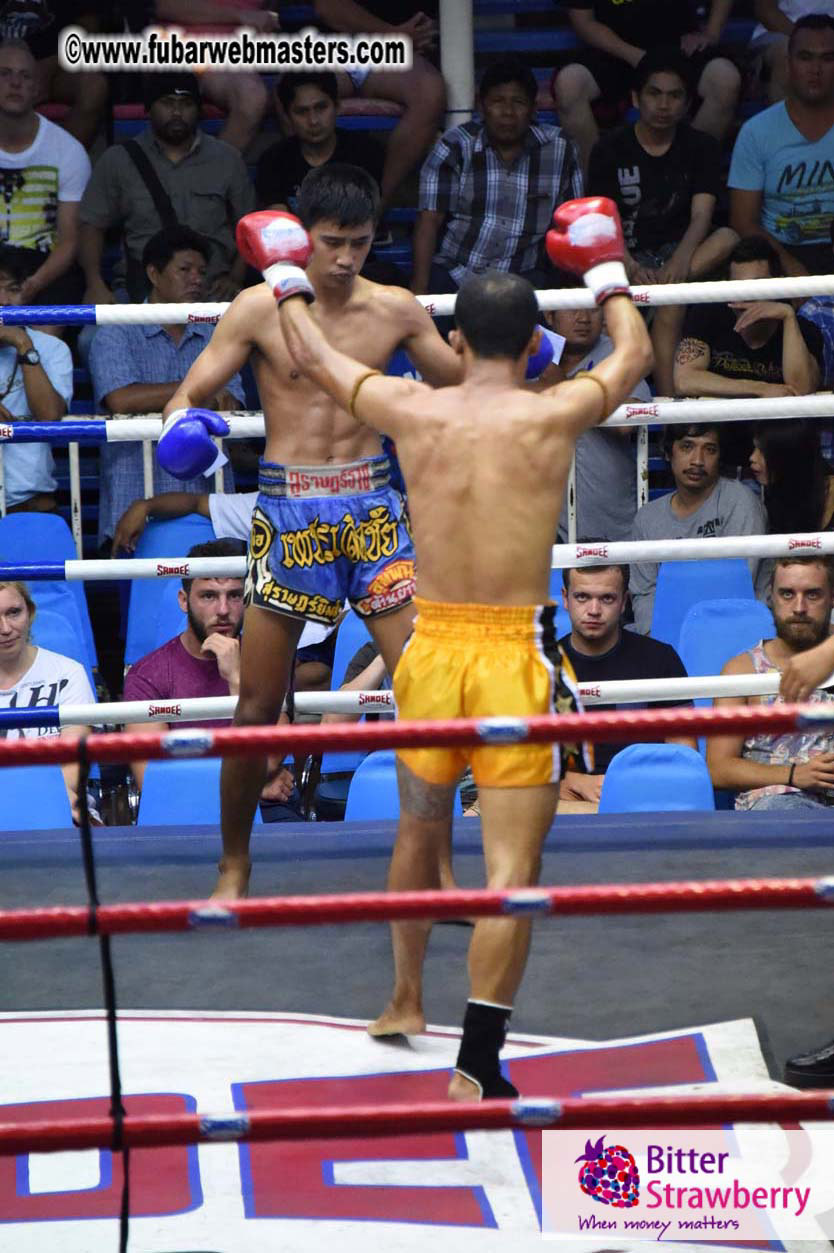 Muay Thai Boxing