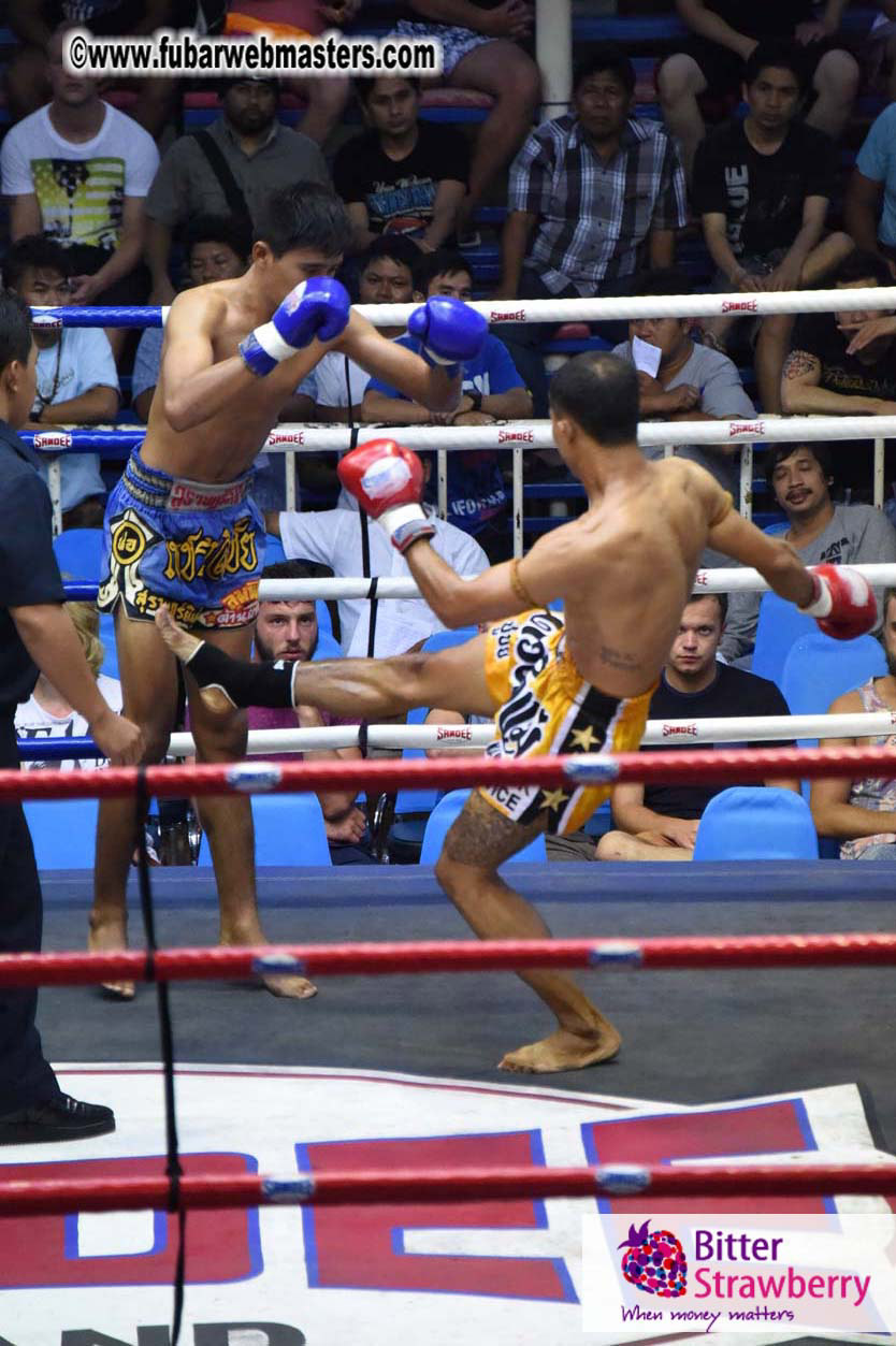 Muay Thai Boxing