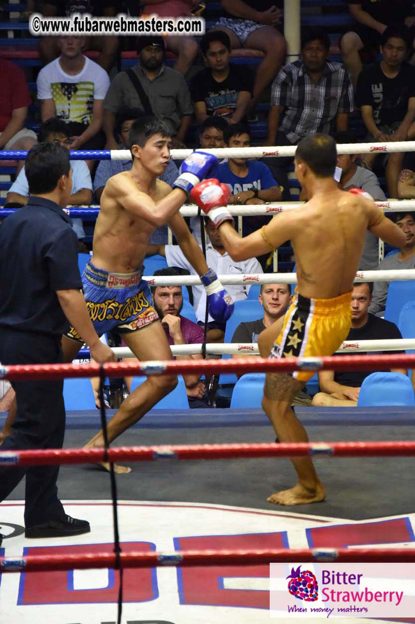 Muay Thai Boxing