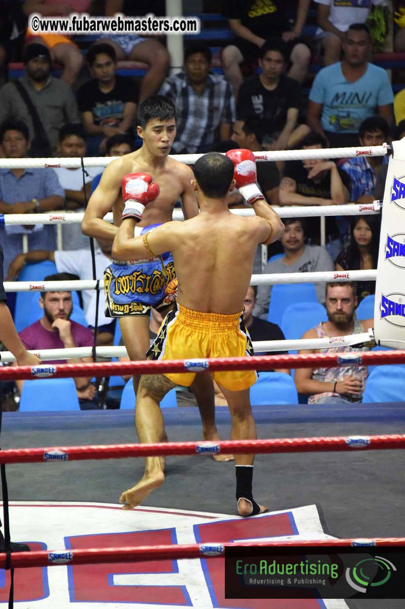 Muay Thai Boxing