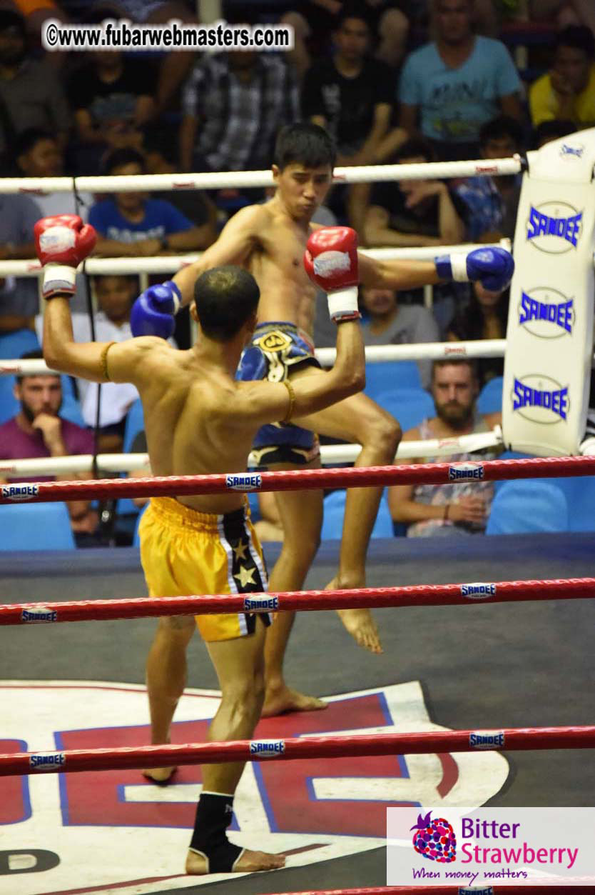 Muay Thai Boxing