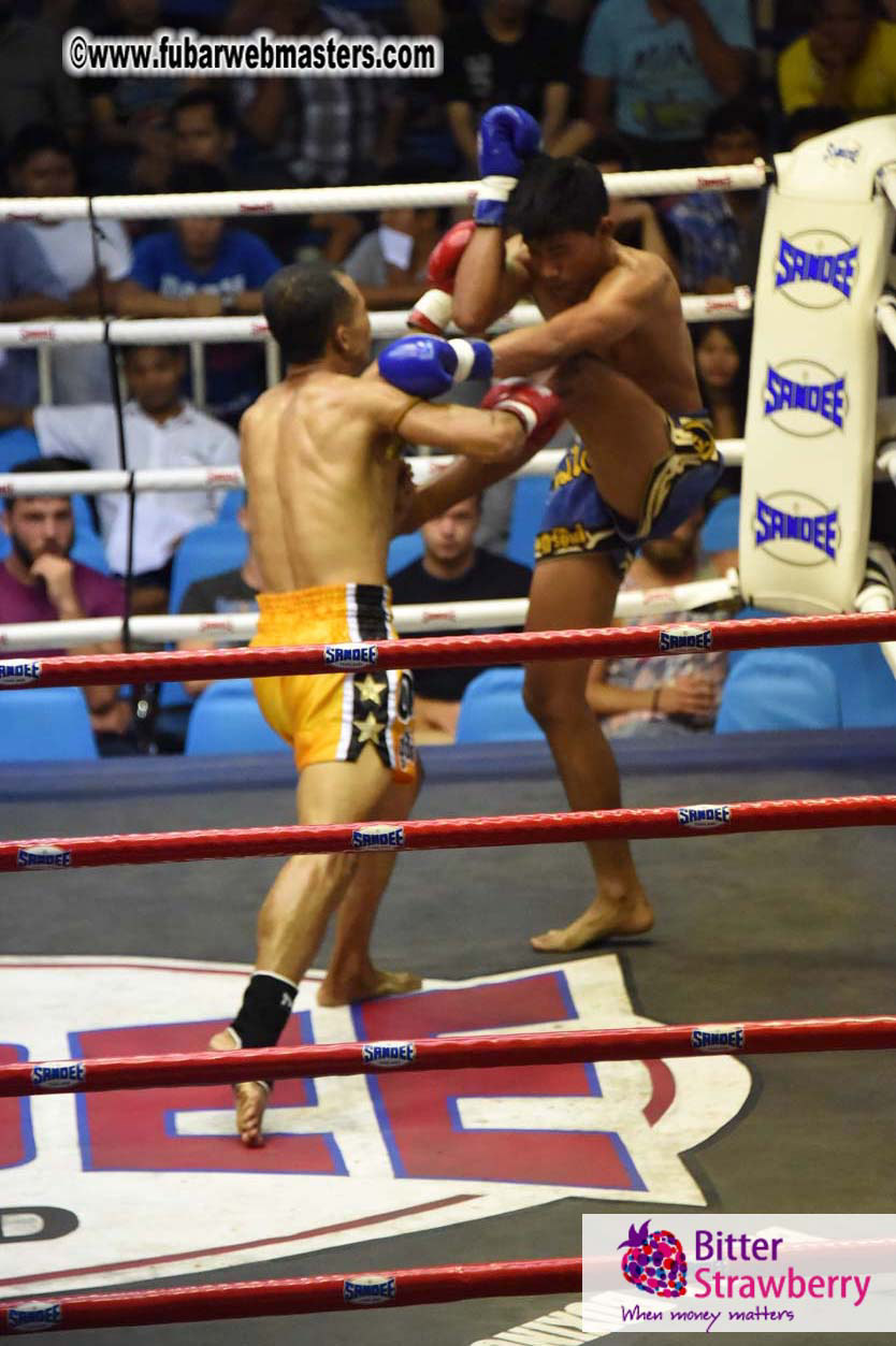 Muay Thai Boxing