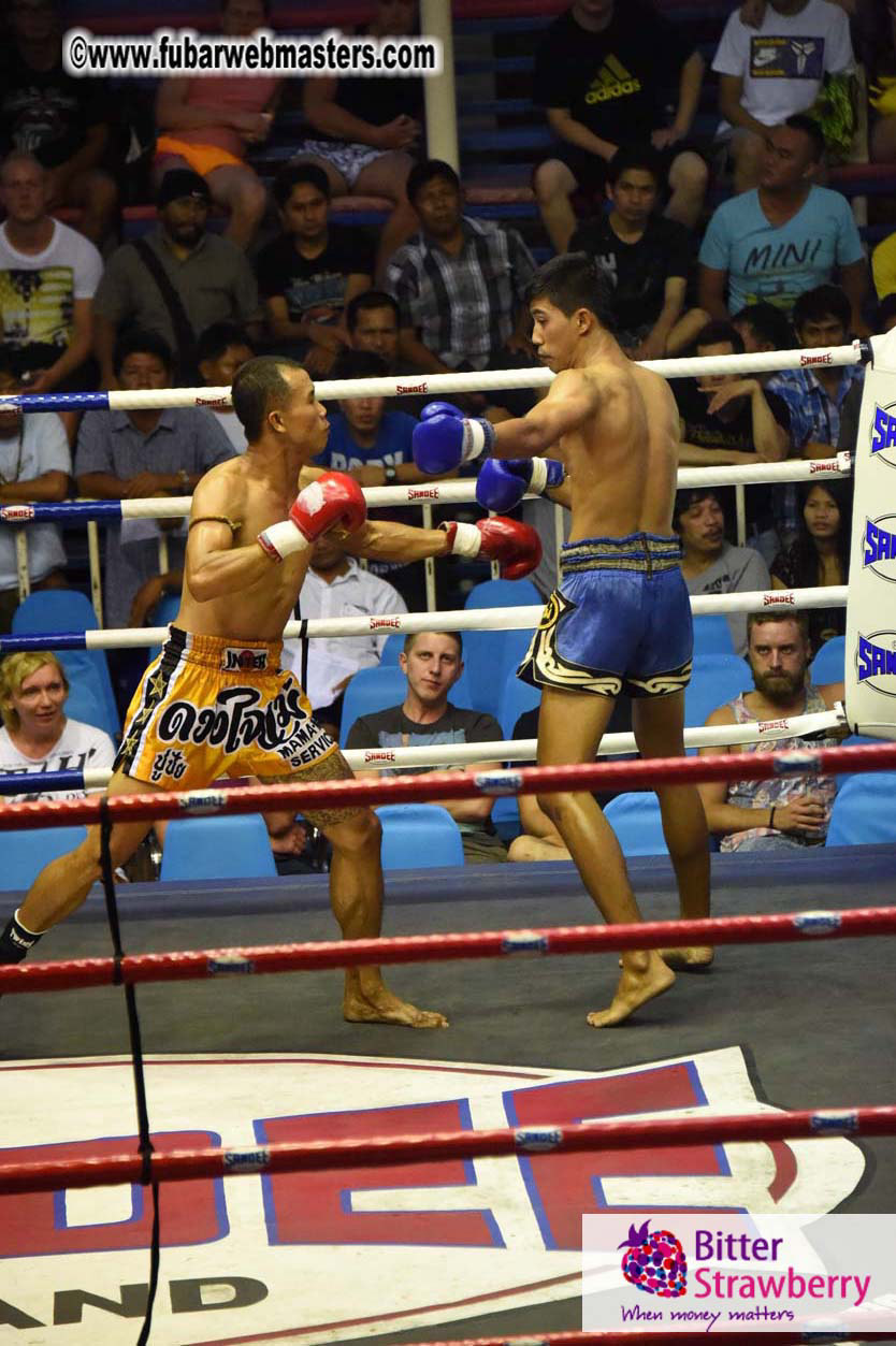 Muay Thai Boxing