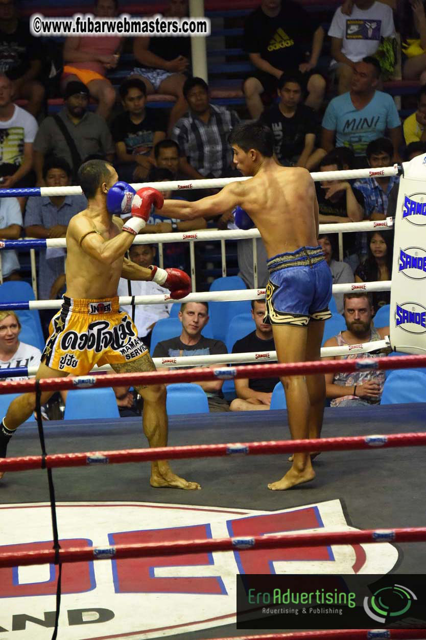 Muay Thai Boxing