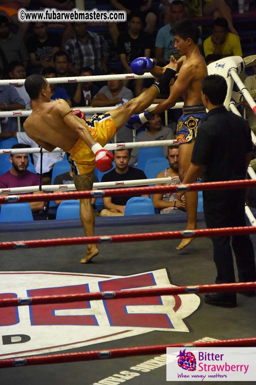 Muay Thai Boxing