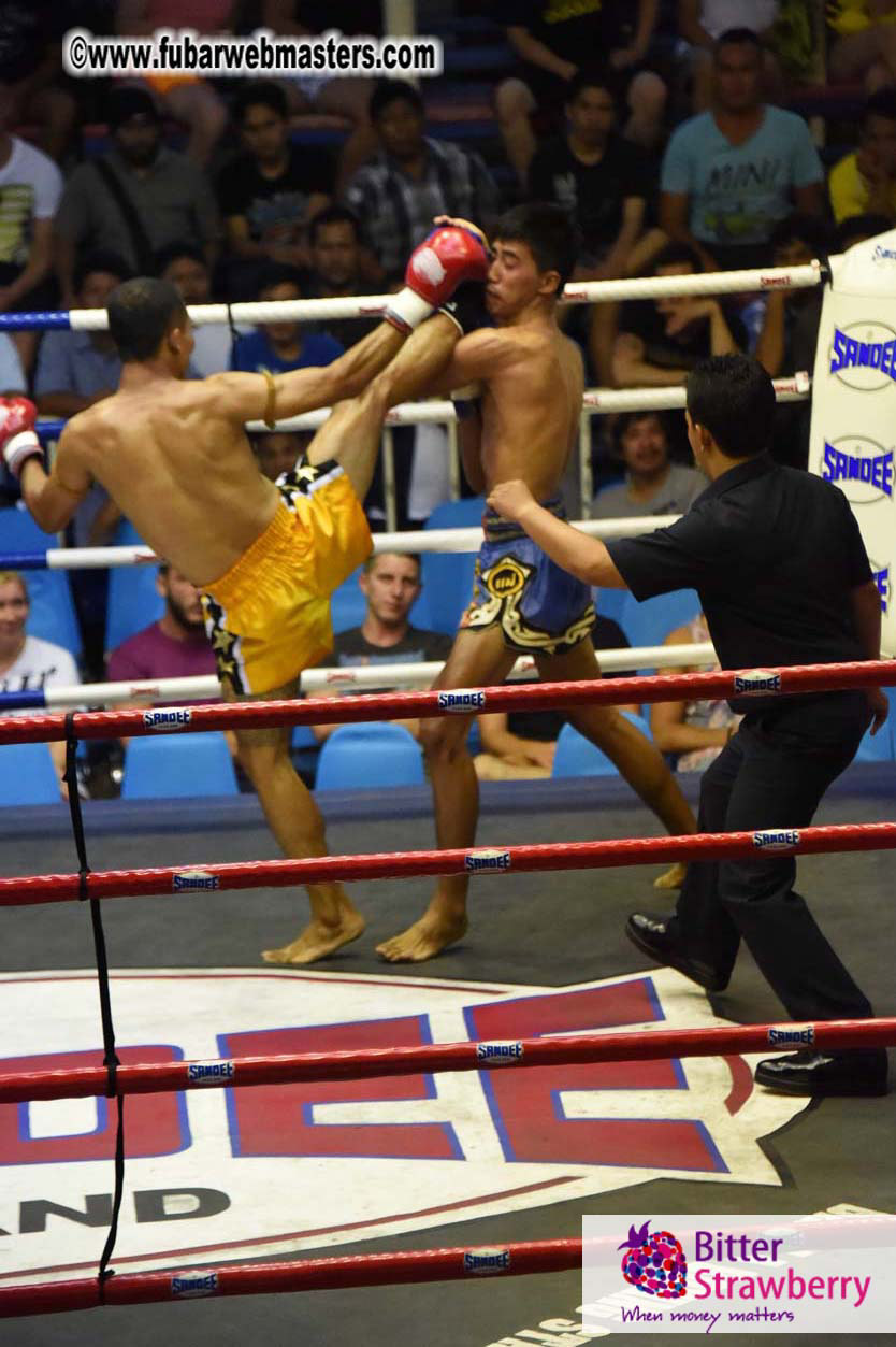 Muay Thai Boxing