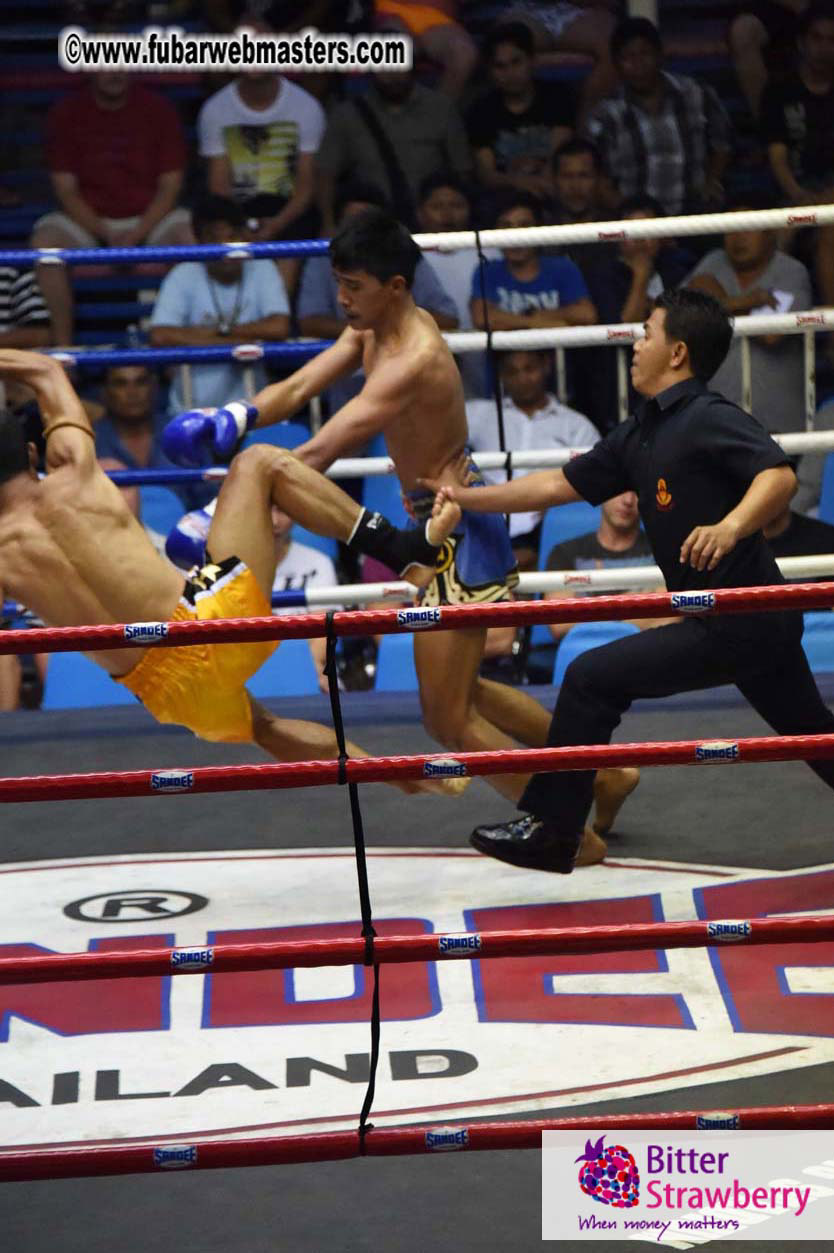 Muay Thai Boxing