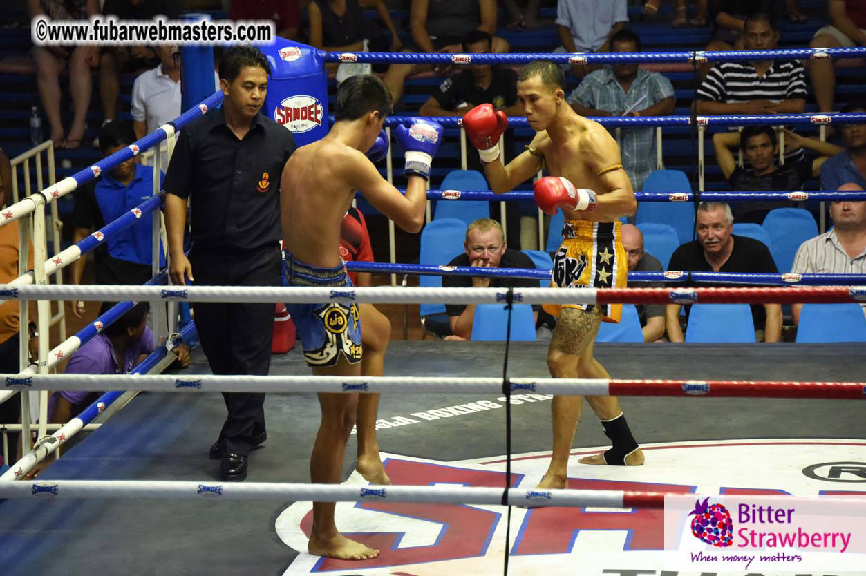 Muay Thai Boxing