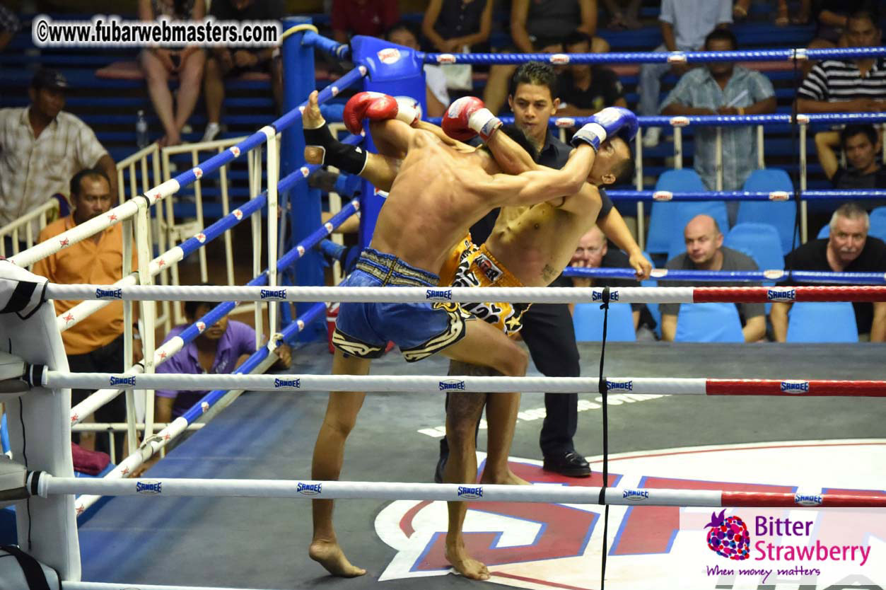 Muay Thai Boxing