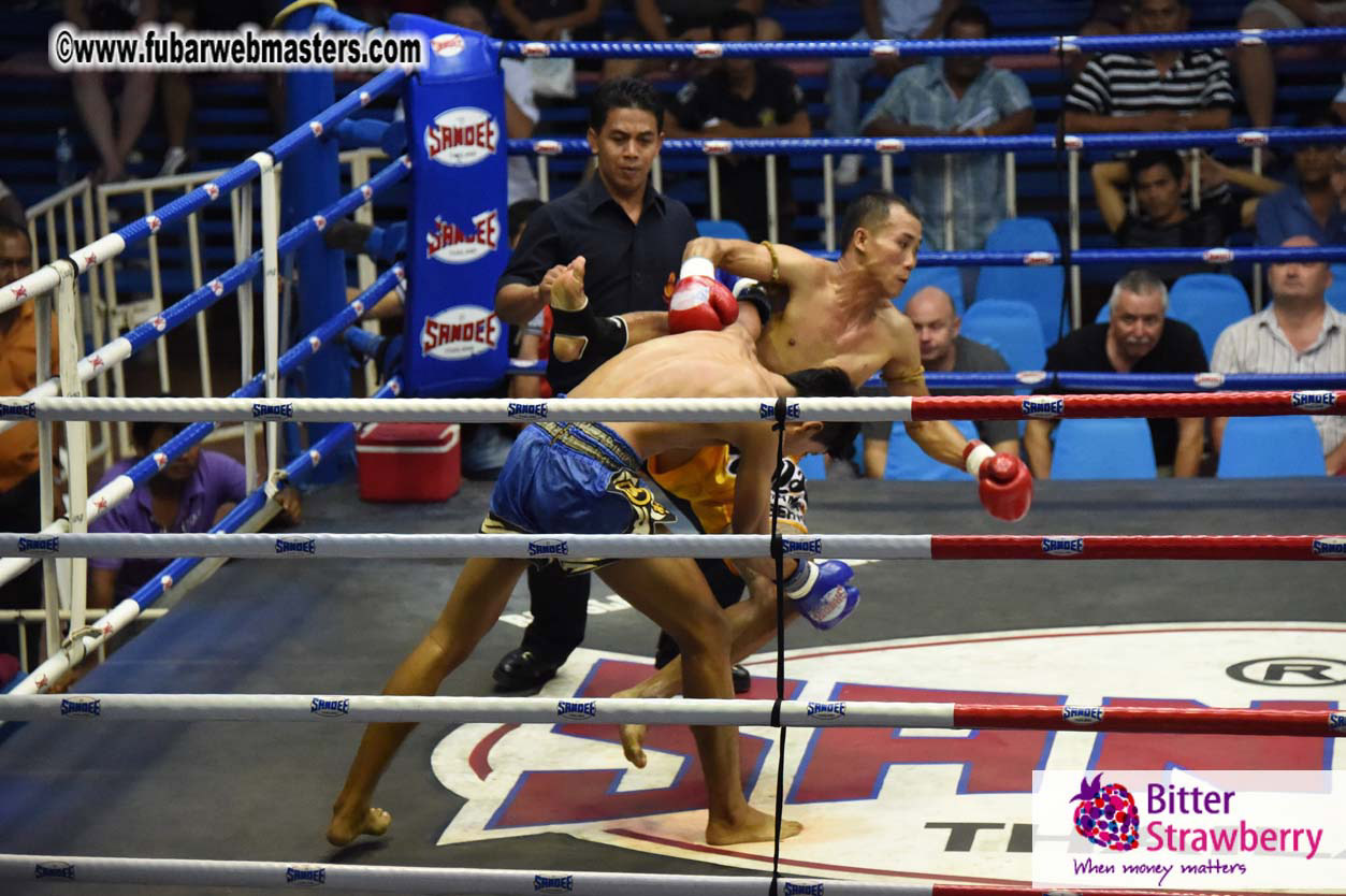 Muay Thai Boxing