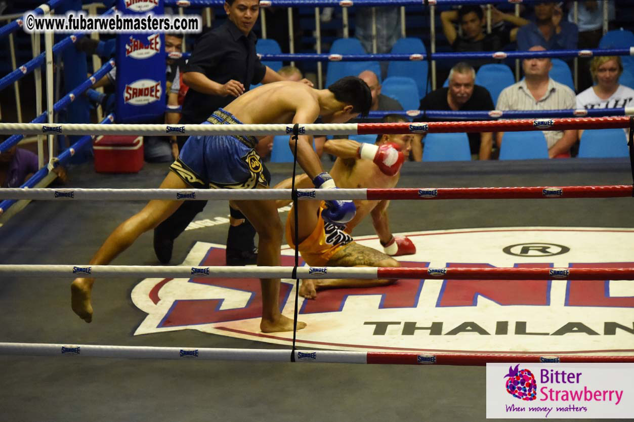 Muay Thai Boxing