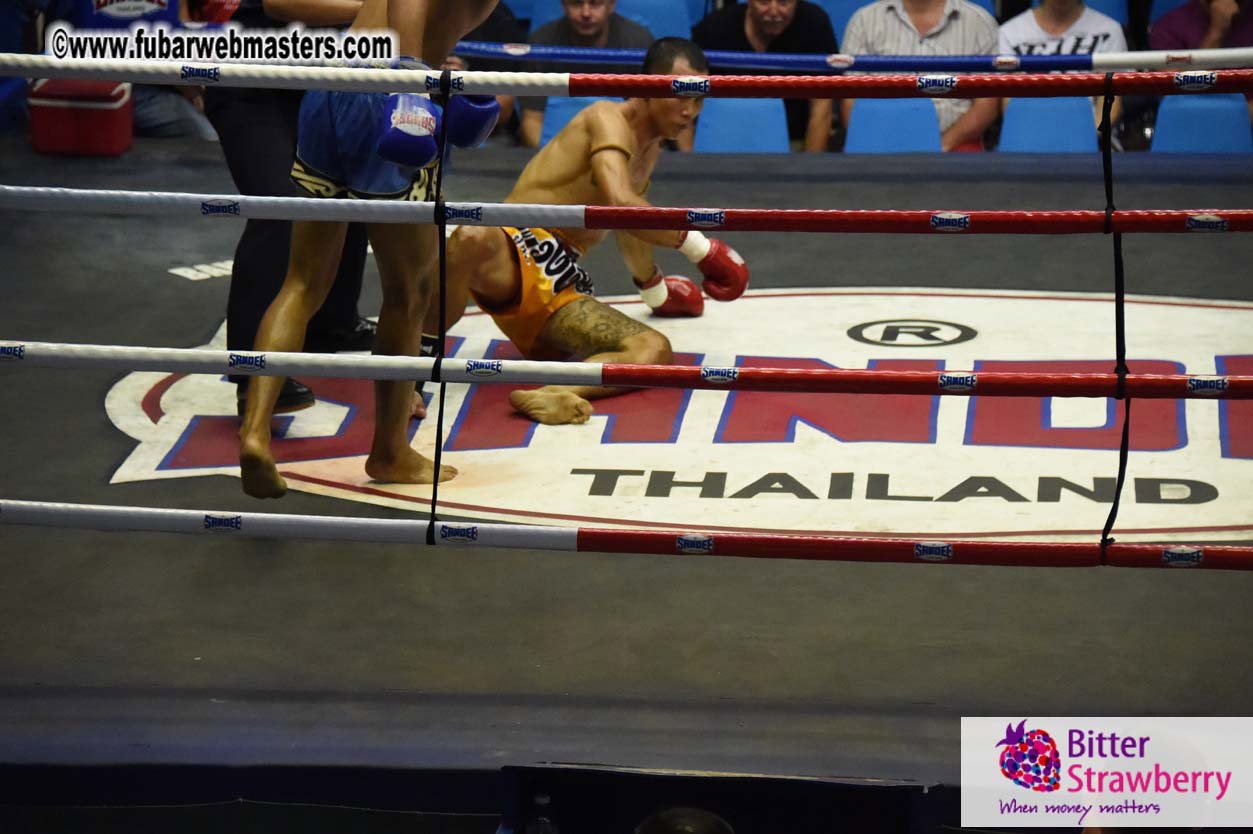 Muay Thai Boxing