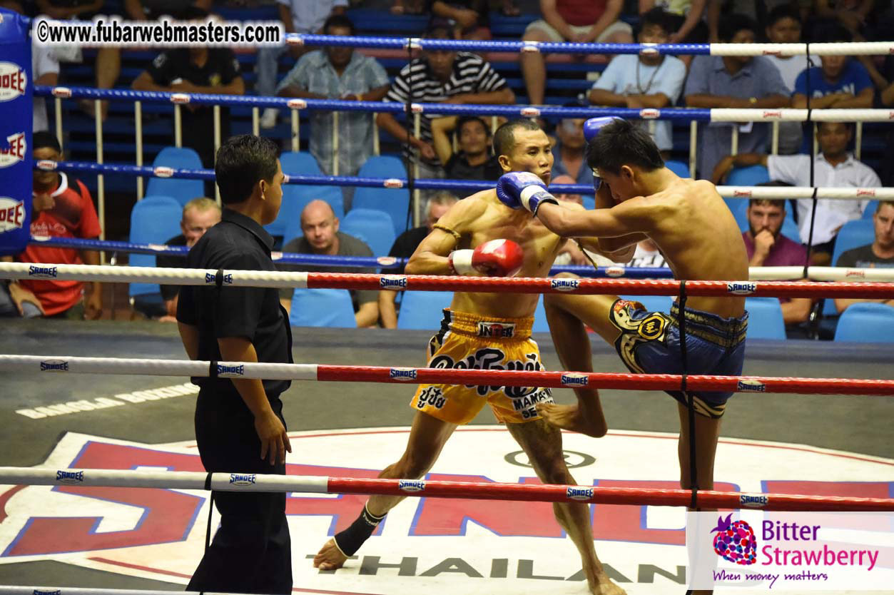 Muay Thai Boxing