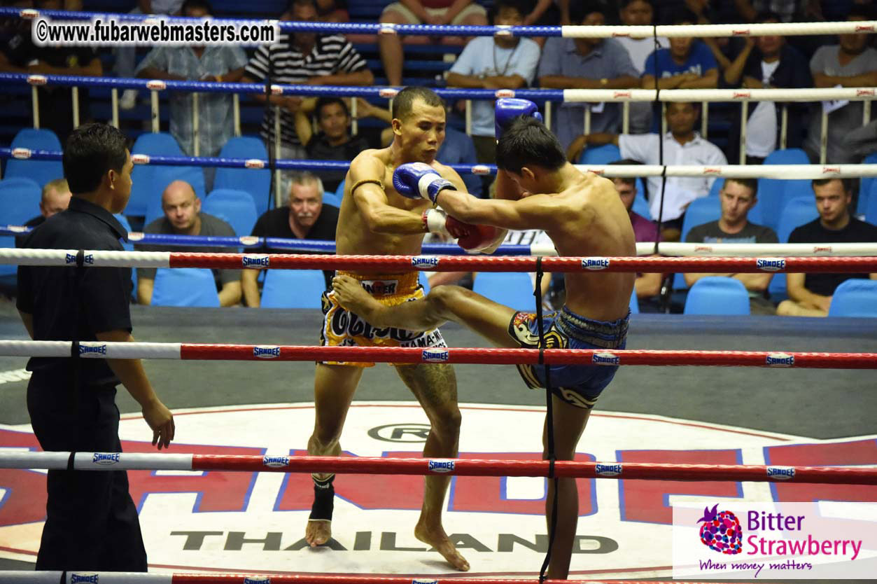 Muay Thai Boxing