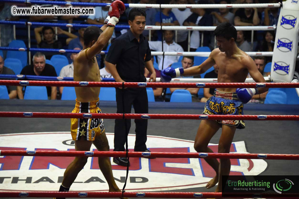 Muay Thai Boxing