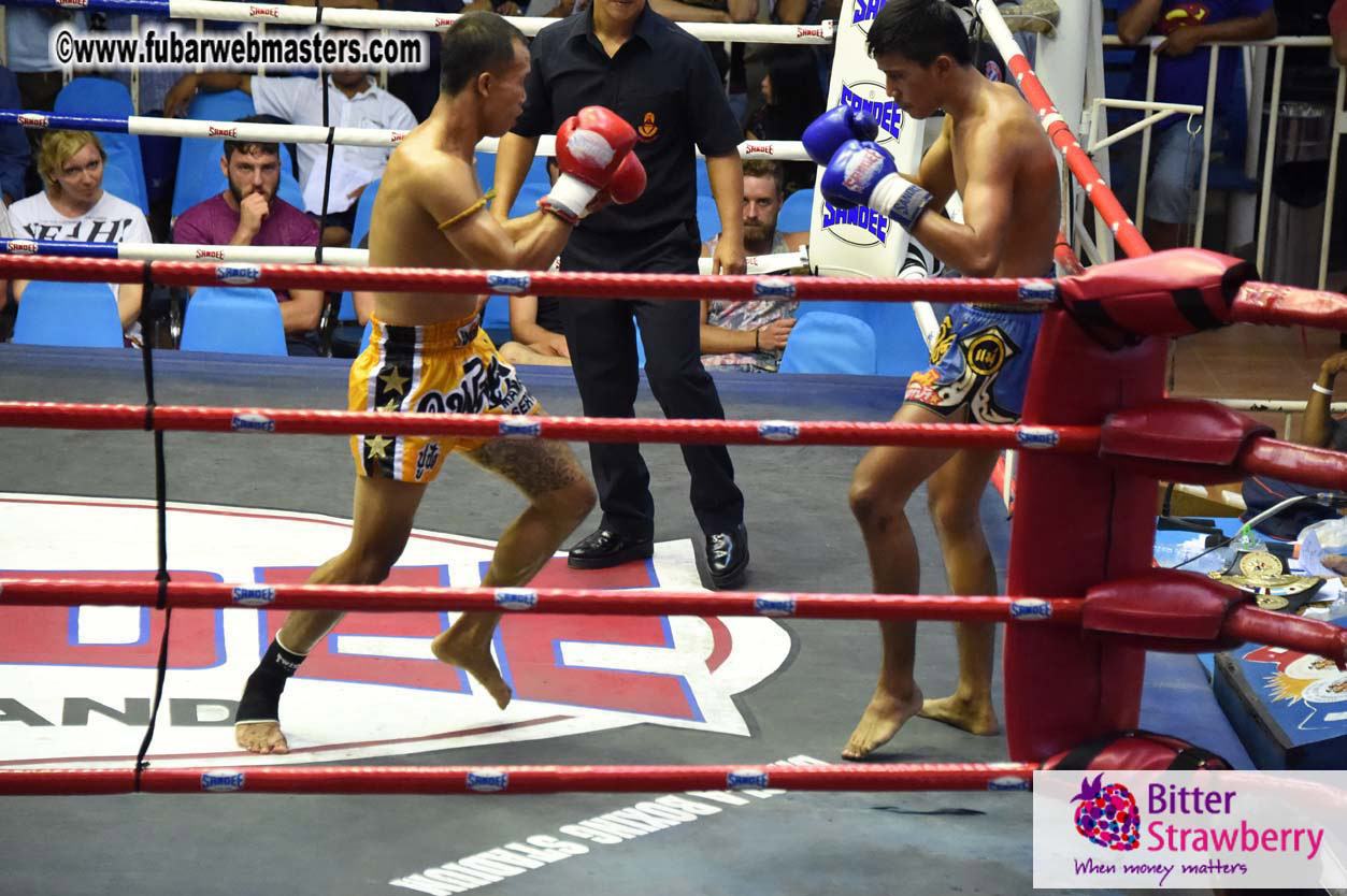 Muay Thai Boxing