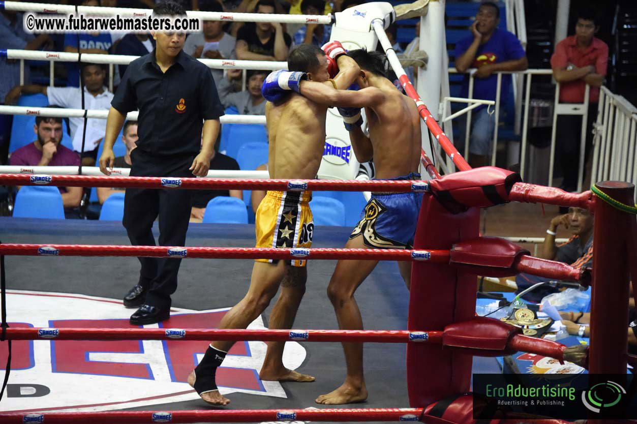 Muay Thai Boxing